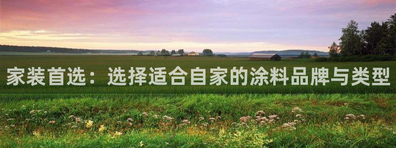 和记官方：家装首选：选择适合自家的涂料品牌与类型