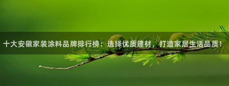 和记AG网站：十大安徽家装涂料品牌排行榜：选择优质建材，打造家居生活品质！
