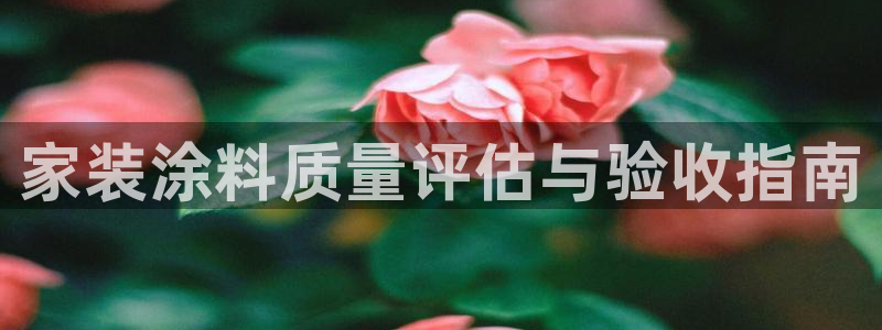 和记paging：家装涂料质量评估与验收指南