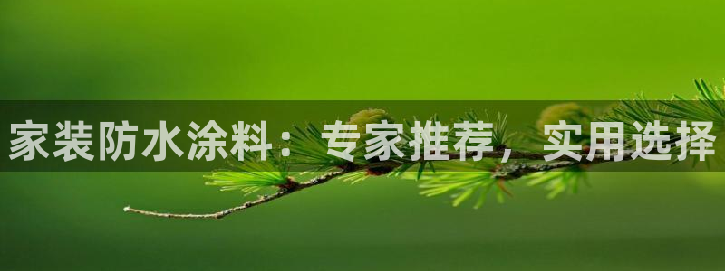 和记ag旗舰国际：家装防水涂料：专家推荐，实用选择