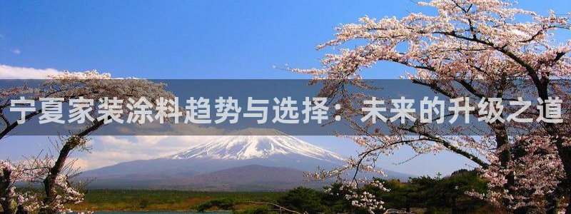 和记官方平台：宁夏家装涂料趋势与选择：未来的升级之道