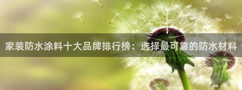 和记娱好网址：家装防水涂料十大品牌排行榜：选择最可靠的防水材料