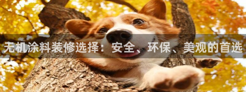 上海和记餐饮：无机涂料装修选择：安全、环保、美观的首选