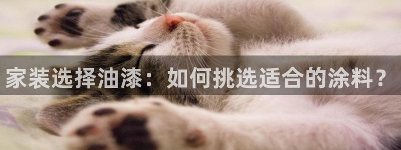 和记官方直营注册：家装选择油漆：如何挑选适合的涂料？
