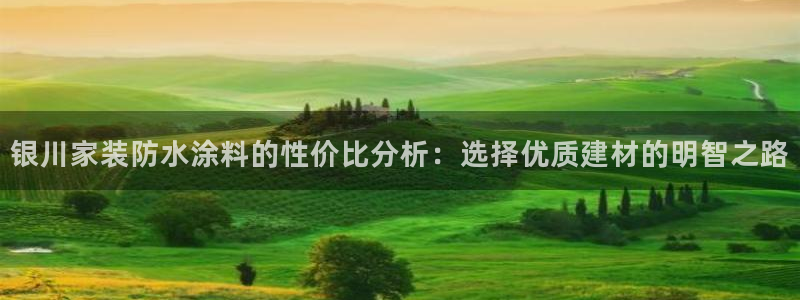 和记广告女主角：银川家装防水涂料的性价比分析：选择优质建材的明智之路