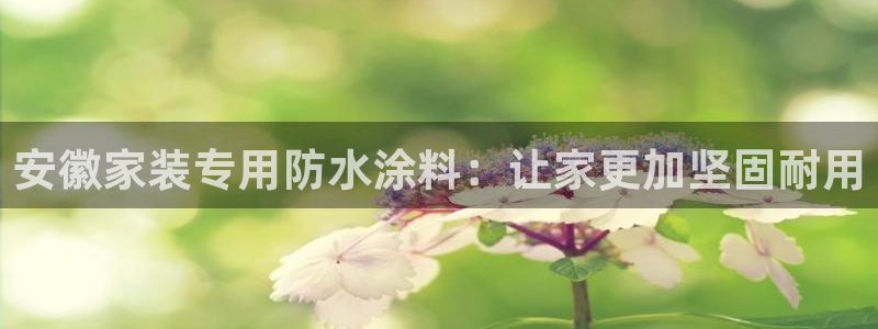 和记平台官方网：安徽家装专用防水涂料：让家更加坚固耐用