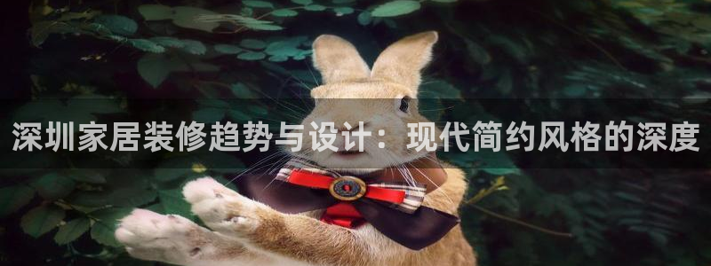和记ag网页版：深圳家居装修趋势与设计：现代简约风格的深度