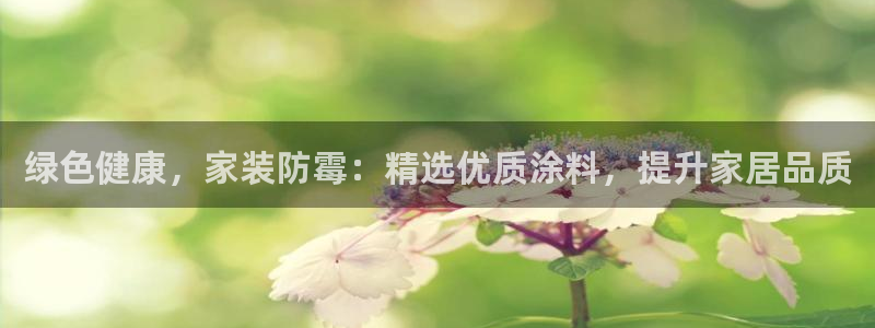 和记登陆：绿色健康，家装防霉：精选优质涂料，提升家居品质