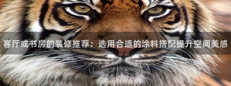 和记 首页：客厅或书房的装修推荐：选用合适的涂料搭配提升空间美感