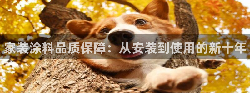和记国际客服：家装涂料品质保障：从安装到使用的新十年