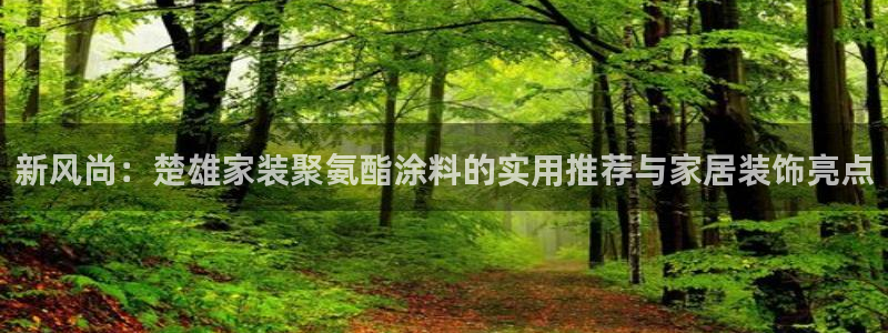 和记国际开户：新风尚：楚雄家装聚氨酯涂料的实用推荐与家居装饰