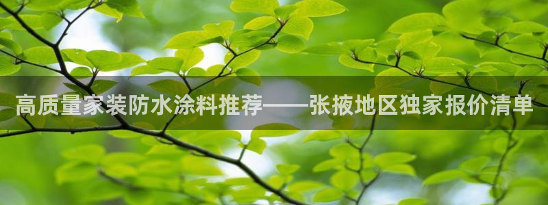和记电业集团：高质量家装防水涂料推荐——张掖地区独家报价清单
