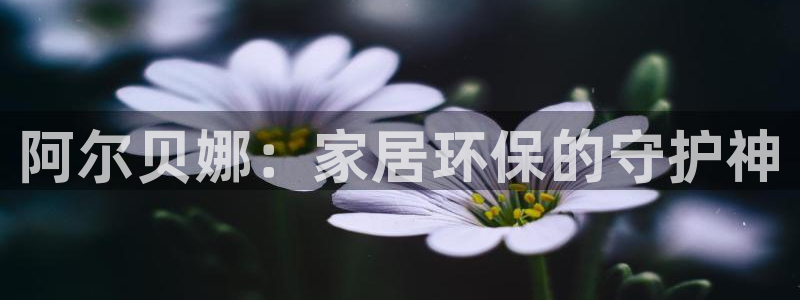 和记国际：阿尔贝娜：家居环保的守护神