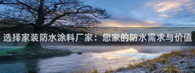 和记ag网页版：选择家装防水涂料厂家：您家的防水需求与价值