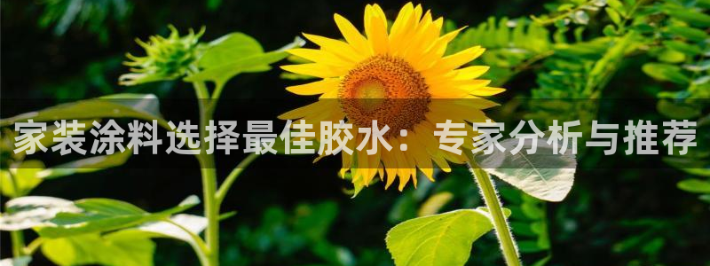 和记h88最新客户端下载：家装涂料选择最佳胶水：专家分析与推