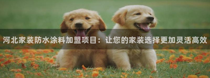 和记ag网址