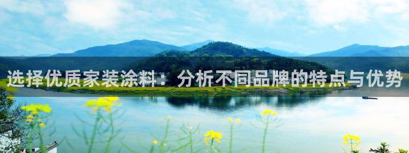 和记Ag：选择优质家装涂料：分析不同品牌的特点与优势