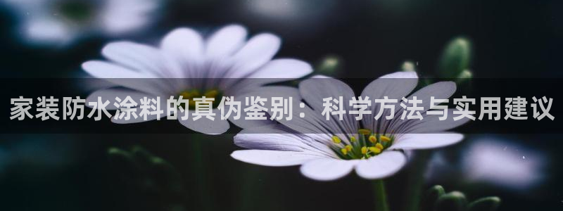 和记平台注册