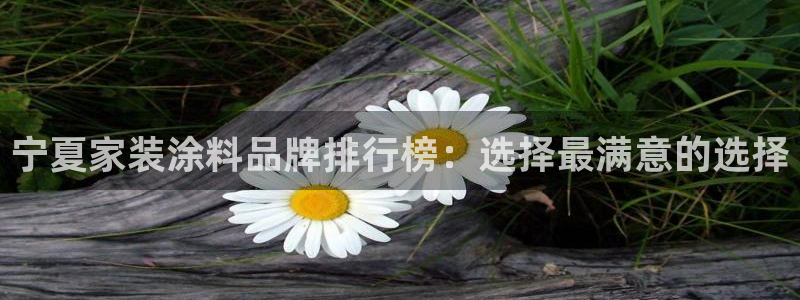 和记官方直营：宁夏家装涂料品牌排行榜：选择最满意的选择