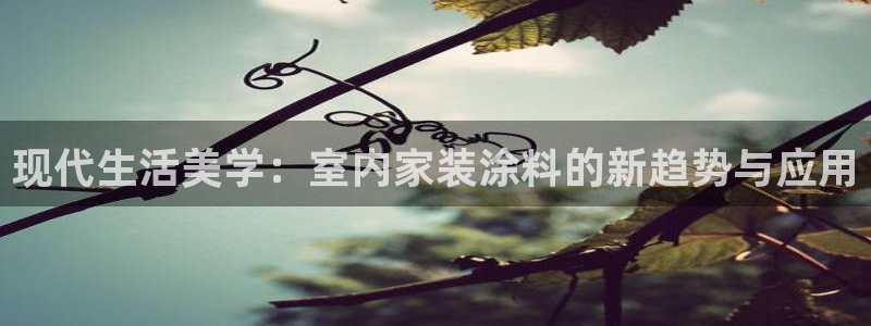 和记ag旗舰国际：现代生活美学：室内家装涂料的新趋势与应用