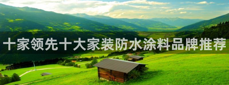 深圳和记科技有限公司：十家领先十大家装防水涂料品牌推荐