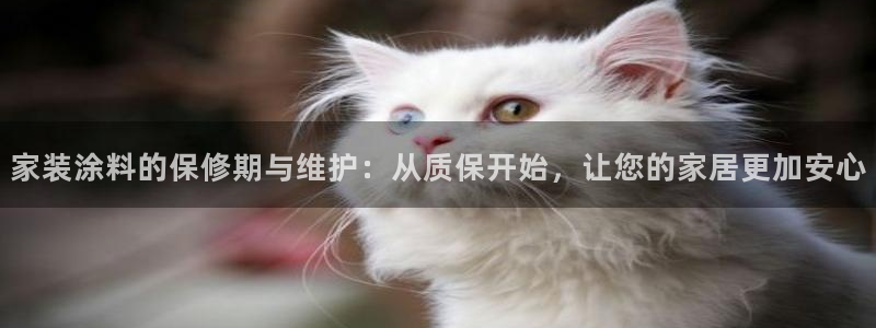 和记平台官网：家装涂料的保修期与维护：从质保开始，让您的家居更加安心