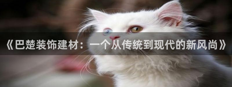 和记官网：《巴楚装饰建材：一个从传统到现代的新风尚》