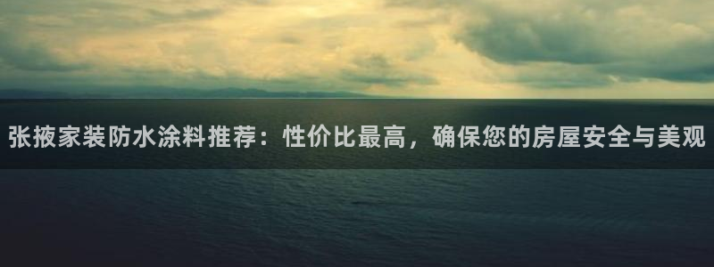 和记官方：张掖家装防水涂料推荐：性价比最高，确保您的房屋安全与美观