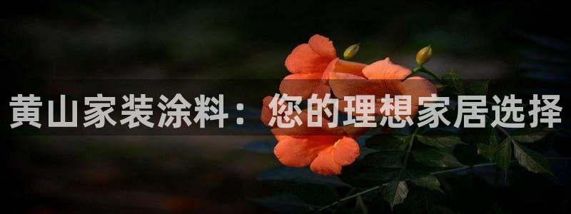 和记pc：黄山家装涂料：您的理想家居选择