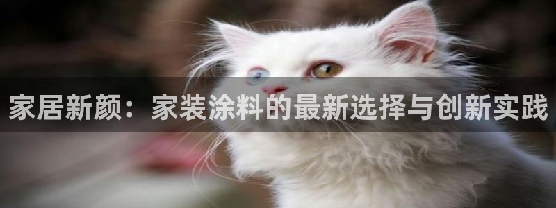 和记ag网址：家居新颜：家装涂料的最新选择与创新实践