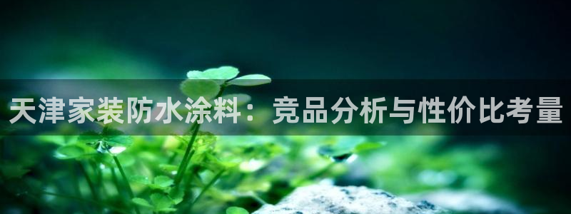 和记 中国官网：天津家装防水涂料：竞品分析与性价比考量