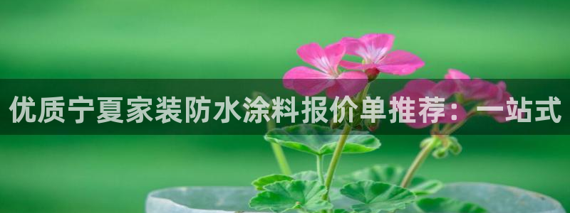 和记官方网站：优质宁夏家装防水涂料报价单推荐：一站式