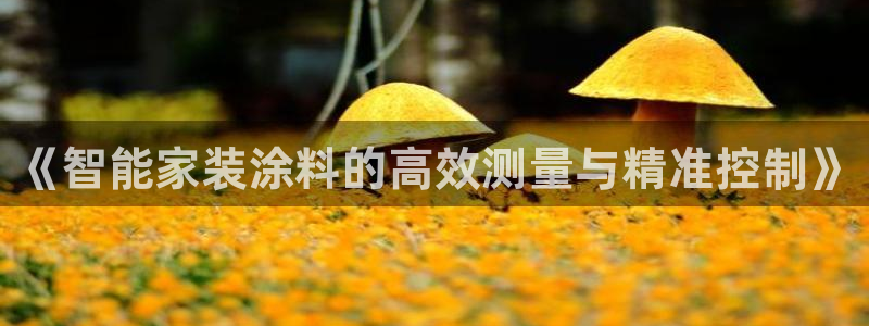 和记网页版：《智能家装涂料的高效测量与精准控制》
