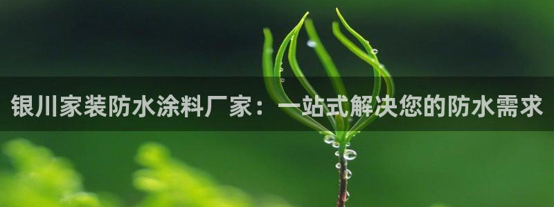 和记国际听