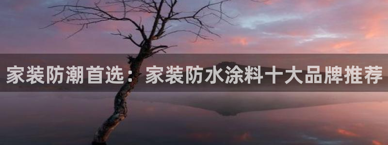 和记最新官方网址：家装防潮首选：家装防水涂料十大品牌推荐