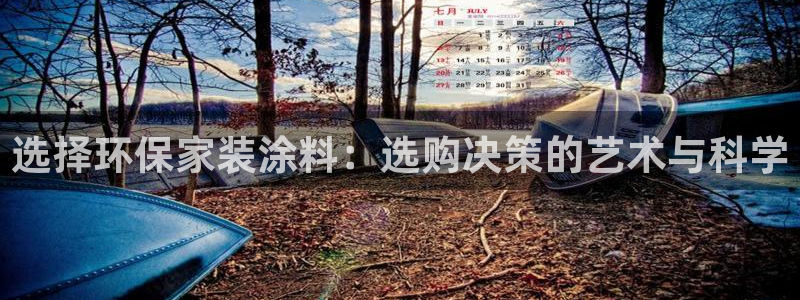 和记注册有什么送的：选择环保家装涂料：选购决策的艺术与科学