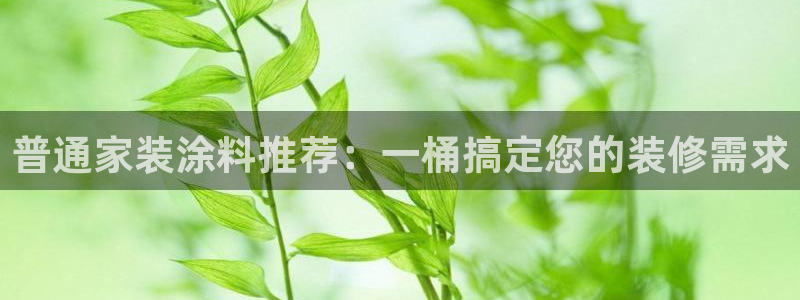 和记网页版登陆：普通家装涂料推荐：一桶搞定您的装修需求