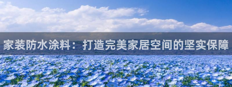 和记官网 公司：家装防水涂料：打造完美家居空间的坚实保障
