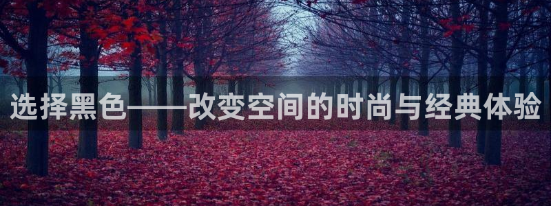 和记平台官方网：选择黑色——改变空间的时尚与经典体验