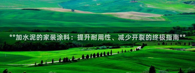 和记官网登录：**加水泥的家装涂料：提升耐用性、减少开裂的终极指南**