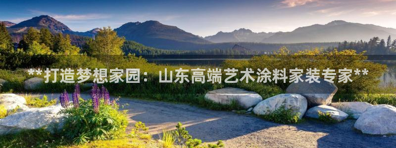 和记pc：**打造梦想家园：山东高端艺术涂料家装专家**