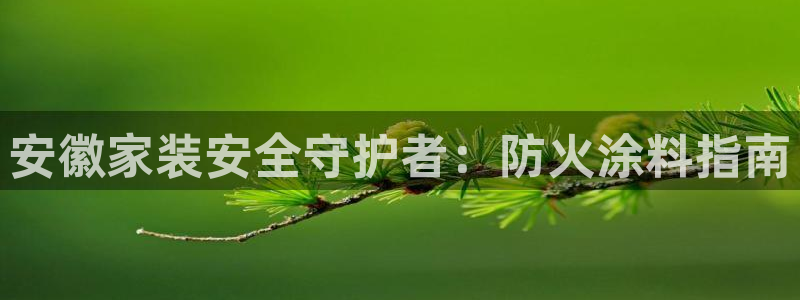 和记ag网页版：安徽家装安全守护者：防火涂料指南