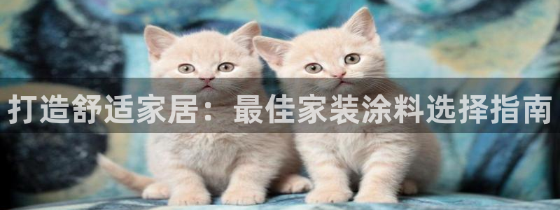 和记最新官方网址：打造舒适家居：最佳家装涂料选择指南