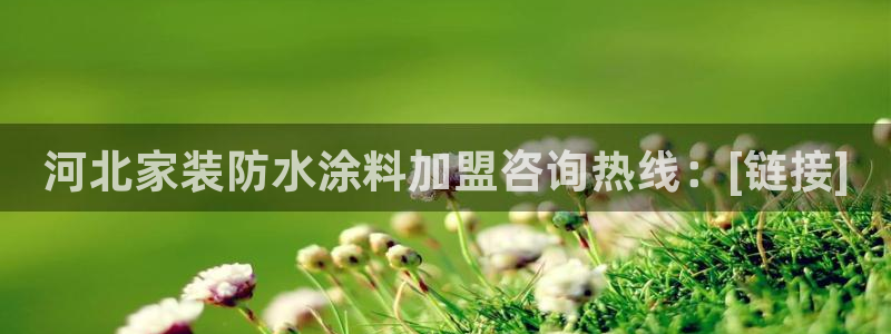 和记ag旗舰厅app