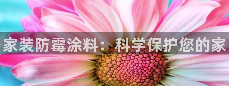 和记 首页：家装防霉涂料：科学保护您的家