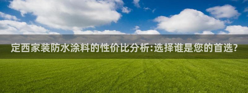 下载和记app：定西家装防水涂料的性价比分析:选择谁是您的首选?
