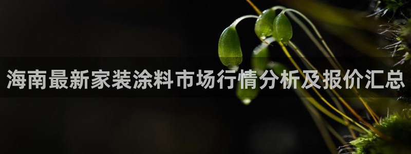 和记平台注册：海南最新家装涂料市场行情分析及报价汇总