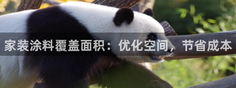 和记5g电讯：家装涂料覆盖面积：优化空间，节省成本