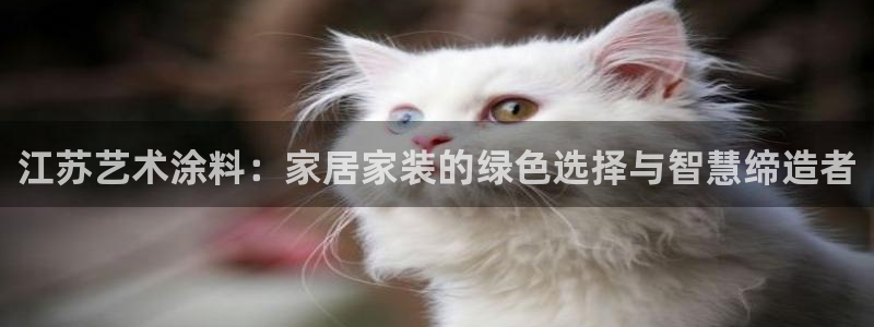 和记平台怎么样：江苏艺术涂料：家居家装的绿色选择与智慧缔造者