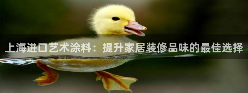 和记app官网：上海进口艺术涂料：提升家居装修品味的最佳选择